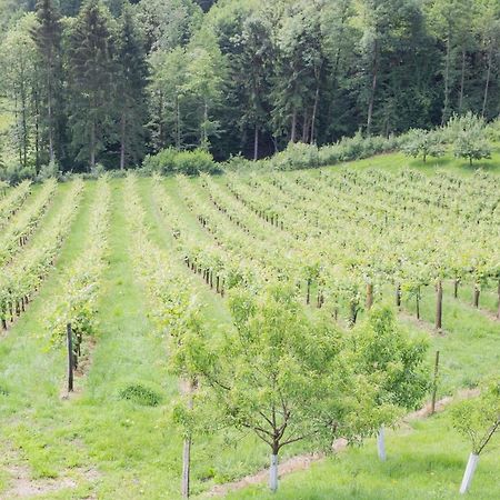 Buschenschank Ofnerpeter Sankt Stefan ob Stainz Εξωτερικό φωτογραφία